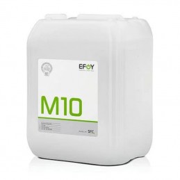Metanol M10  P/Efoy