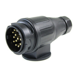 FICHA 13 PINOS MACHO