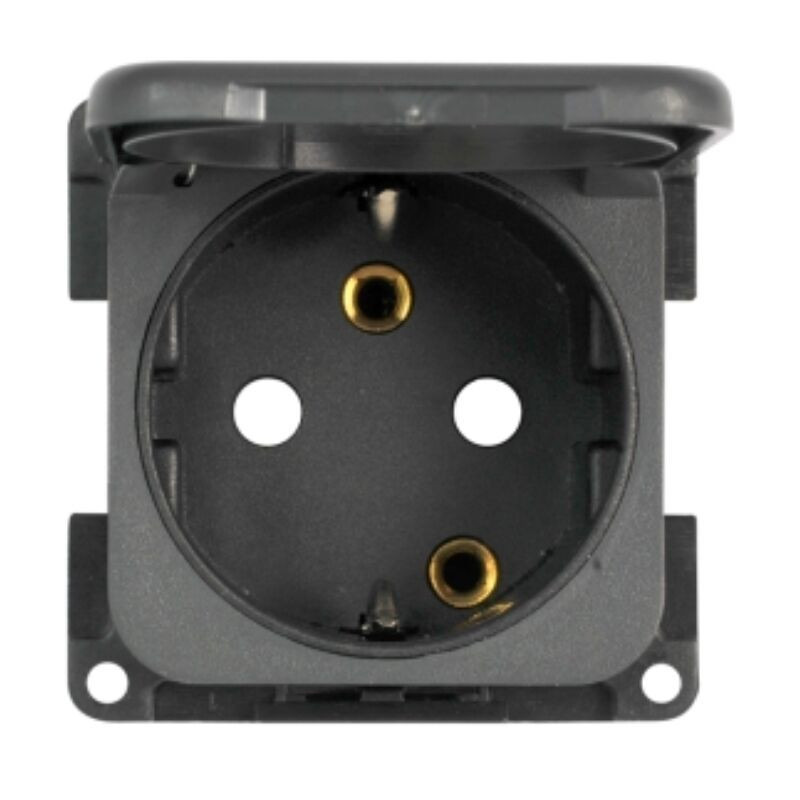 TOMADA INT.220 v C/TAMPA CAST.T.LAT