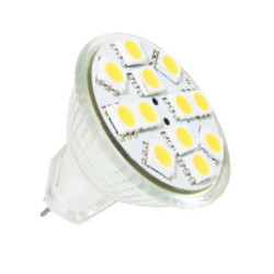 LAMPADA 21 LEDS 12V 100L MR11